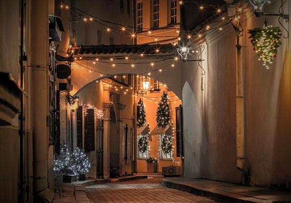 Exclusive Gaono Apartment In The Heart Of Old Town VNO Exterior photo